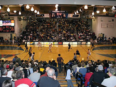 Basketball Basketball